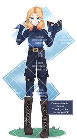 custom for /dansu 2